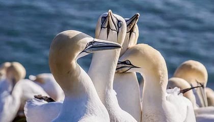 九游官网入口：开启移动游戏新纪元的专属入口